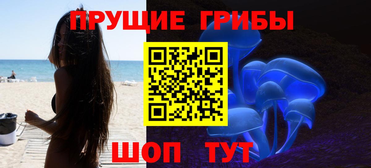 Псилоцибиновые грибы GOLDEN TEACHER  Вход с VPN  Гурьевск 