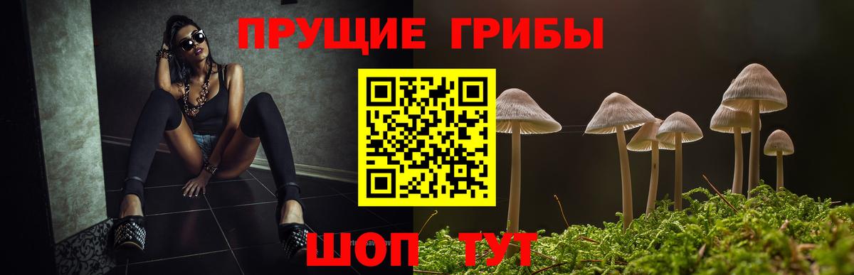 Псилоцибиновые грибы ЛСД Гурьевск